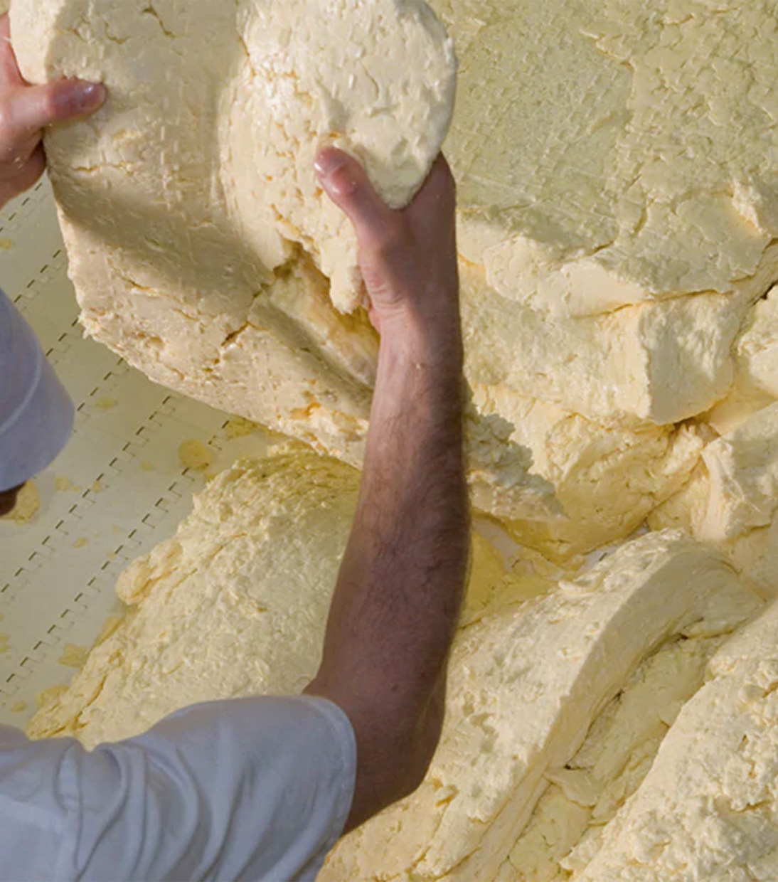 Cheddar Herstellung in hochwertiger Handarbeit  - Mit der Zeit entsteht ein Käsebruch
