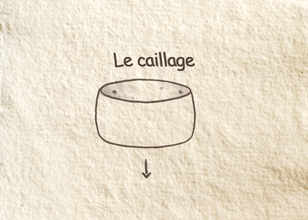 Le caillage Le caillage