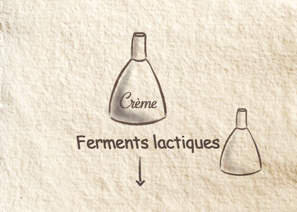 Ferments lactiques Ferments lactiques