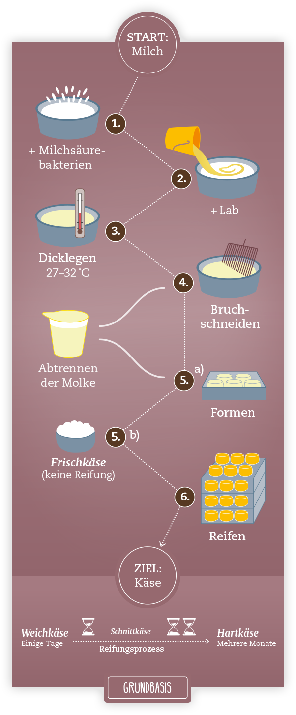 Alles über die Käseherstellung