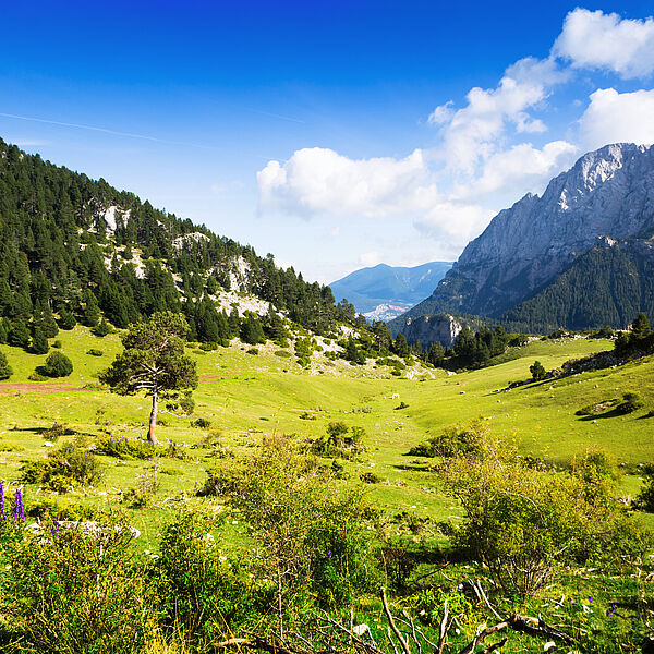 Etorki Marke Baskenland Landschaft