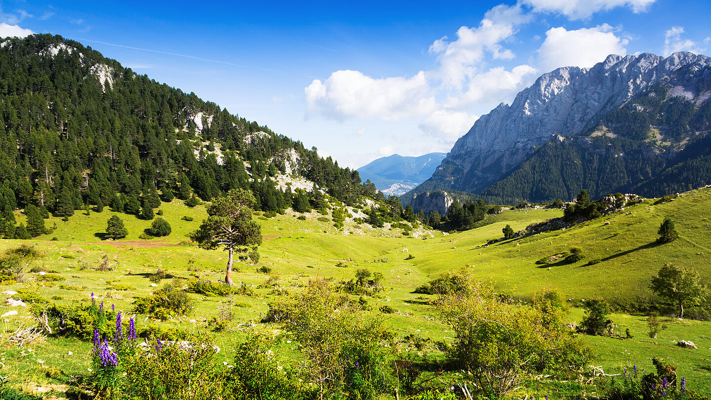 Etorki Marke Baskenland Landschaft